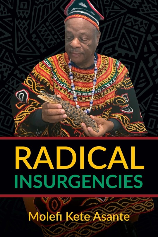 Front cover_Radical Insurgencies