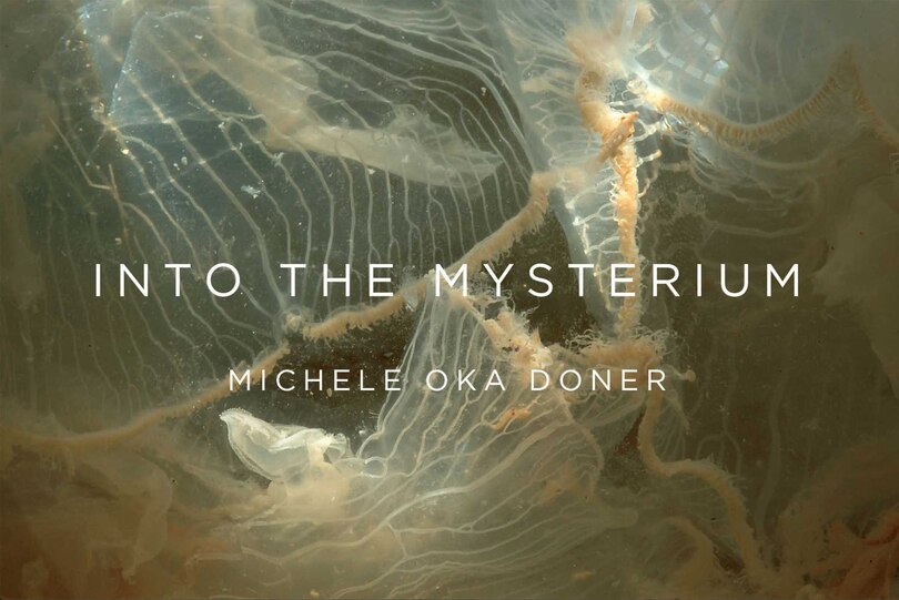 Couverture_Into the Mysterium