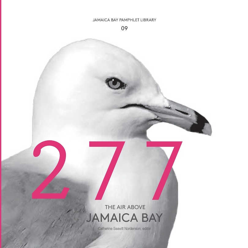 Front cover_Jamaica Bay Pamphlet Library 09