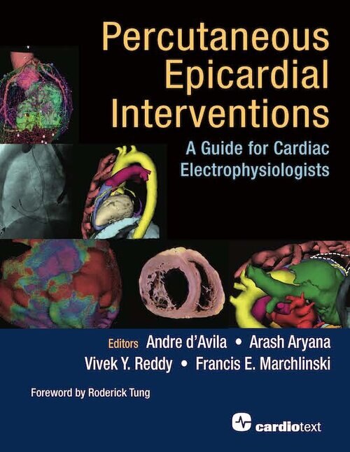 Couverture_Percutaneous Epicardial Interventions