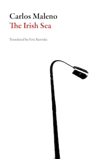 Front cover_The Irish Sea