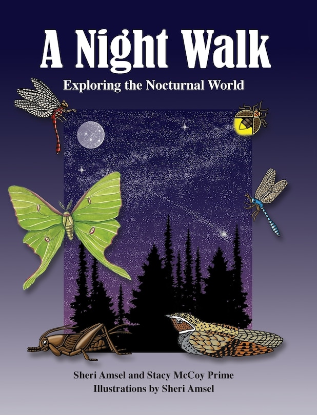 Couverture_A Night Walk