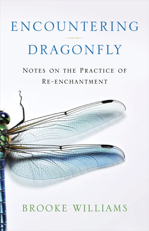 Front cover_Encountering Dragonfly