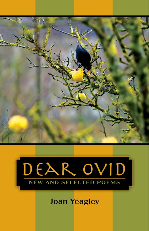 Front cover_Dear Ovid
