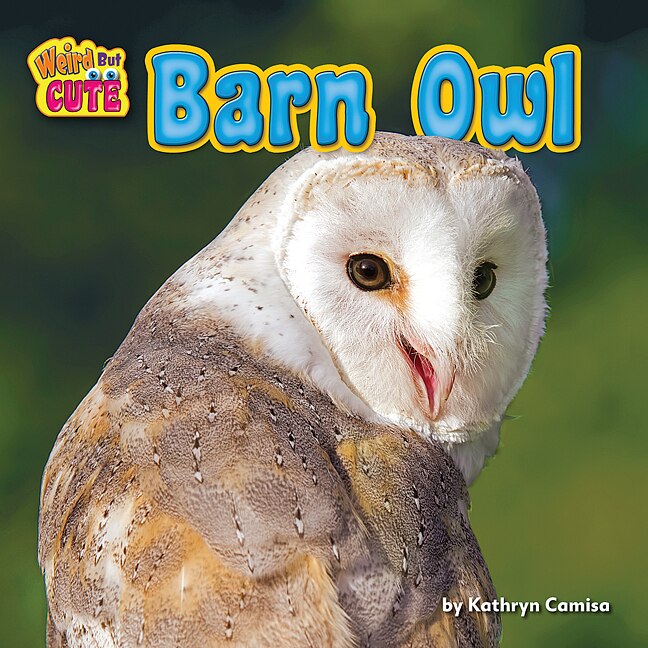 Couverture_Barn Owl