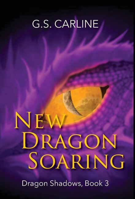 Couverture_New Dragon Soaring