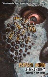 Couverture_Perfect Union