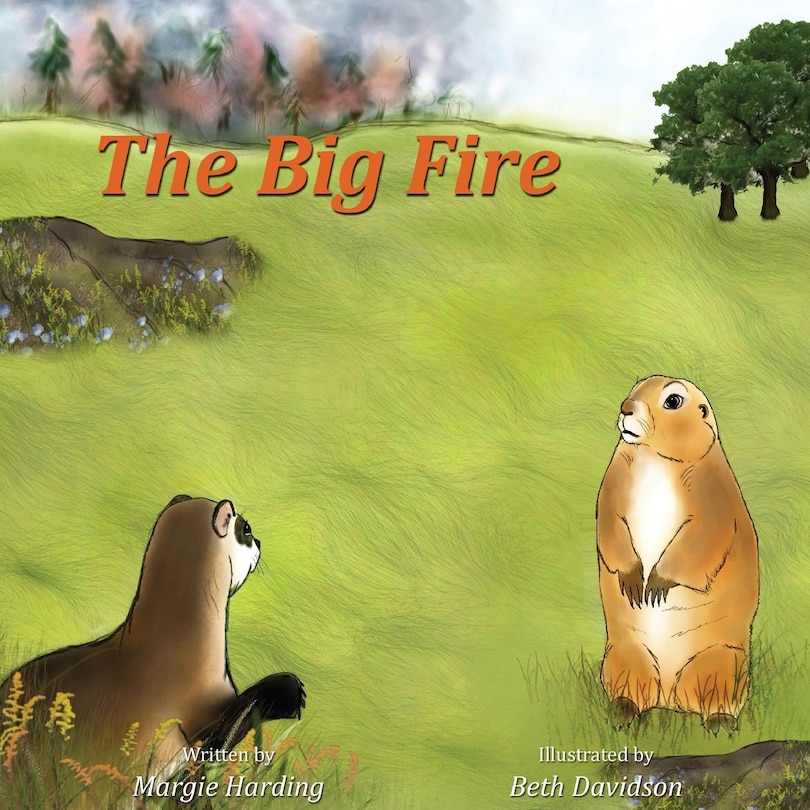 Couverture_The Big Fire