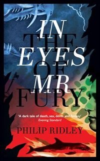 Front cover_In the Eyes of Mr Fury
