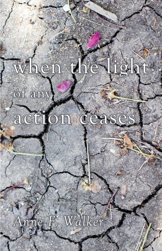 Couverture_when the light of any action ceases
