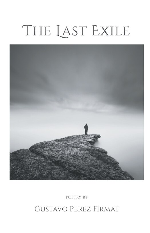 Front cover_The Last Exile