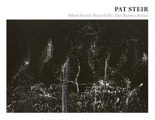 Front cover_Pat Steir: Silent Secret Waterfalls