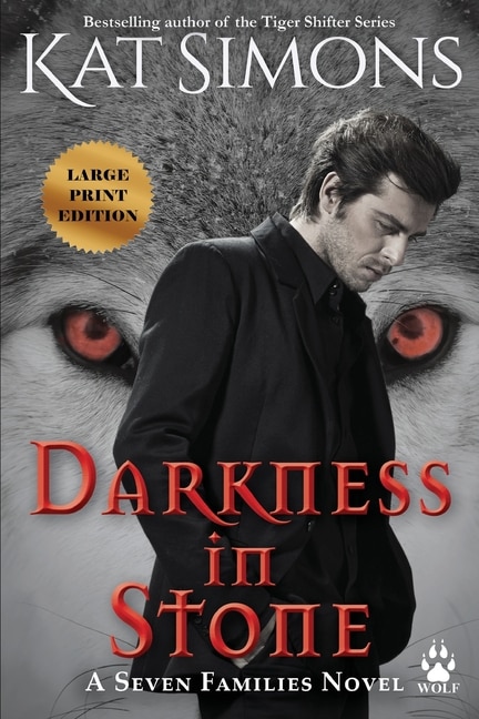 Couverture_Darkness in Stone