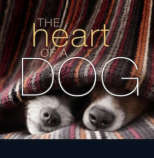 Front cover_The Heart Of A Dog