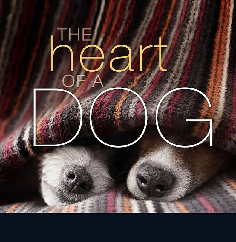 Front cover_The Heart Of A Dog