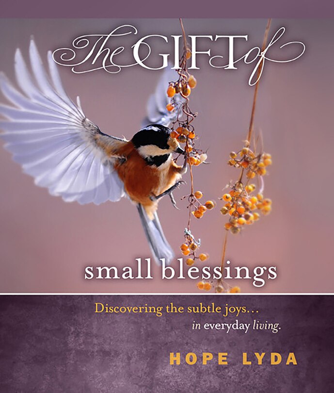 Front cover_The Gift Of Small Blessings