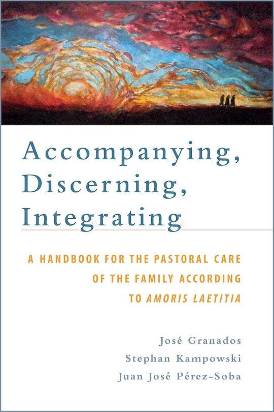 Couverture_Accompanying, Discerning, Integrating