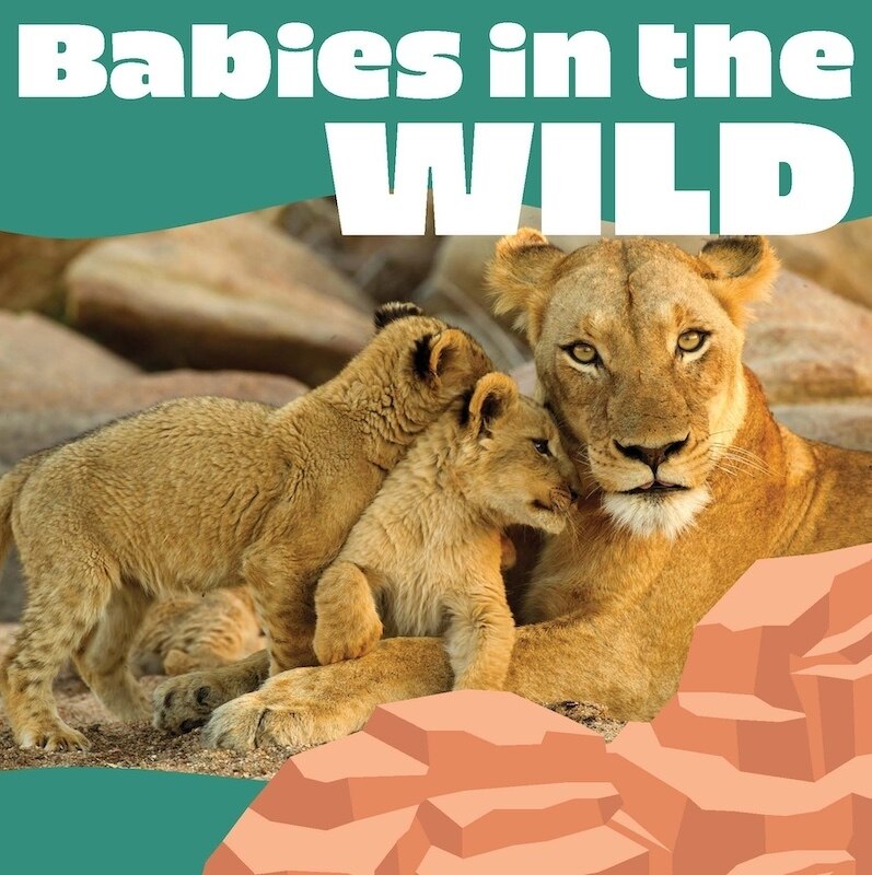 Front cover_Babies in the Wild