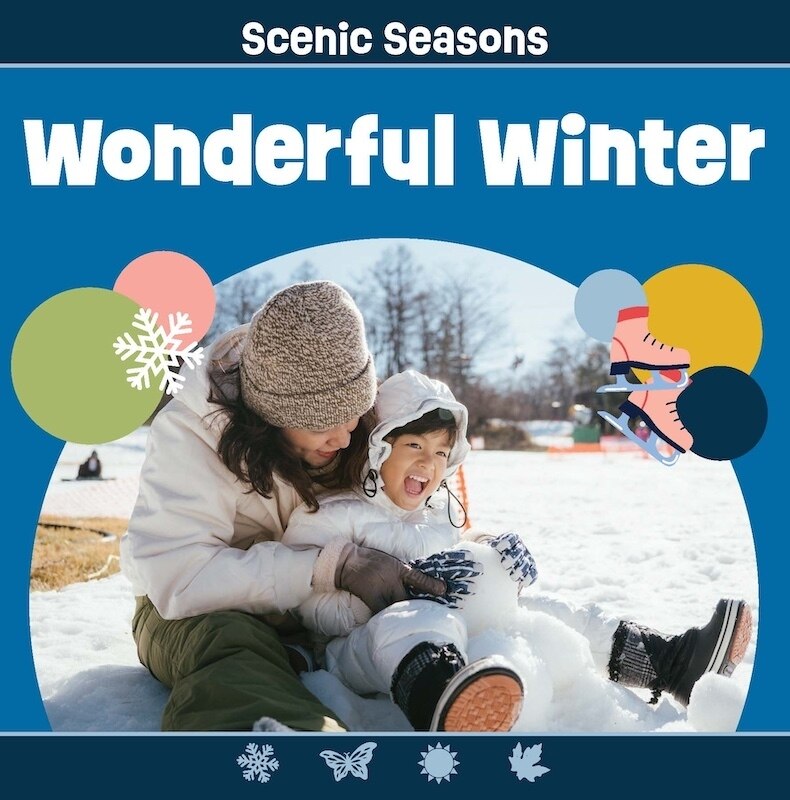 Couverture_Wonderful Winter