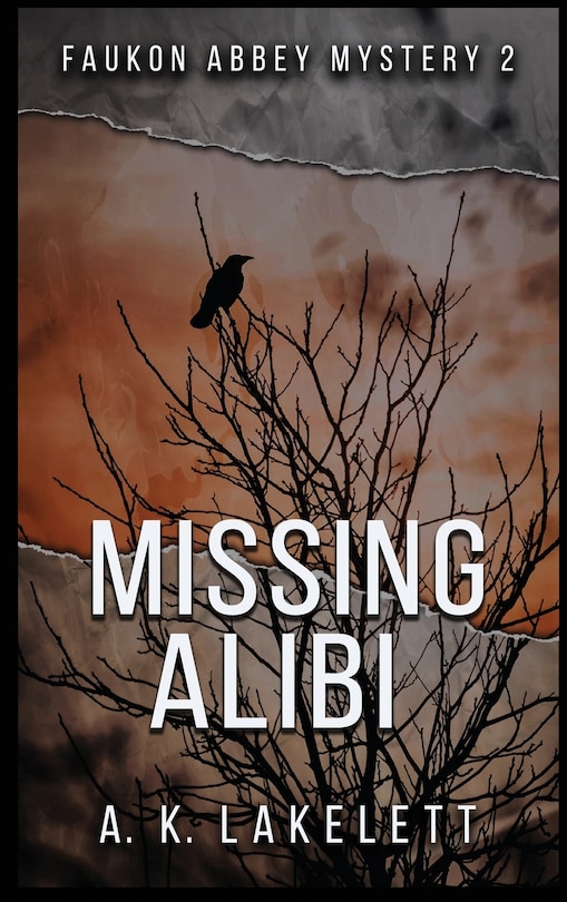 Couverture_Missing Alibi
