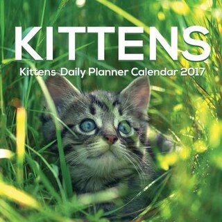 Kittens  Daily Planner Calendar 2017