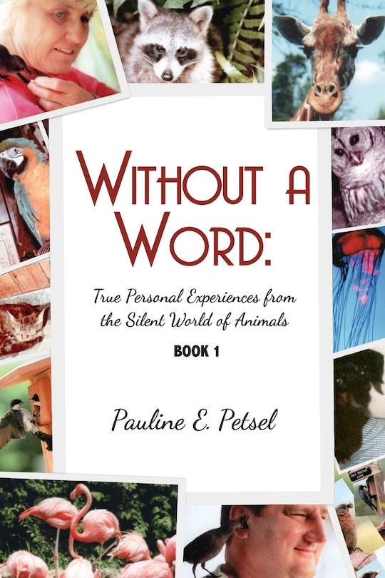 Front cover_Without A Word