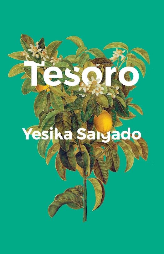 Couverture_Tesoro