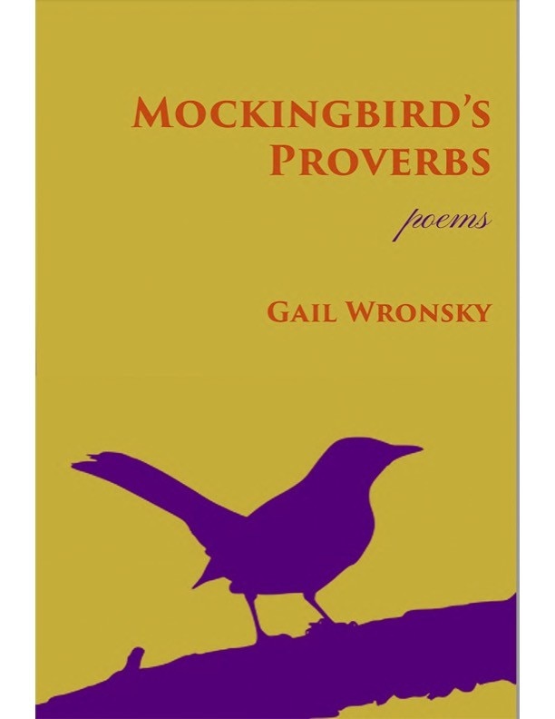 Front cover_Mockingbird's Proverbs
