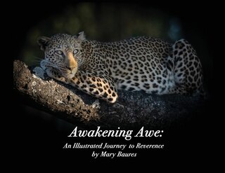 Couverture_Awakening Awe
