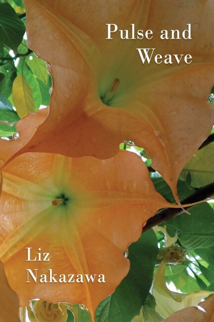 Front cover_Pulse and Weave