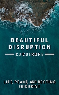 Front cover_Beautiful Disruption