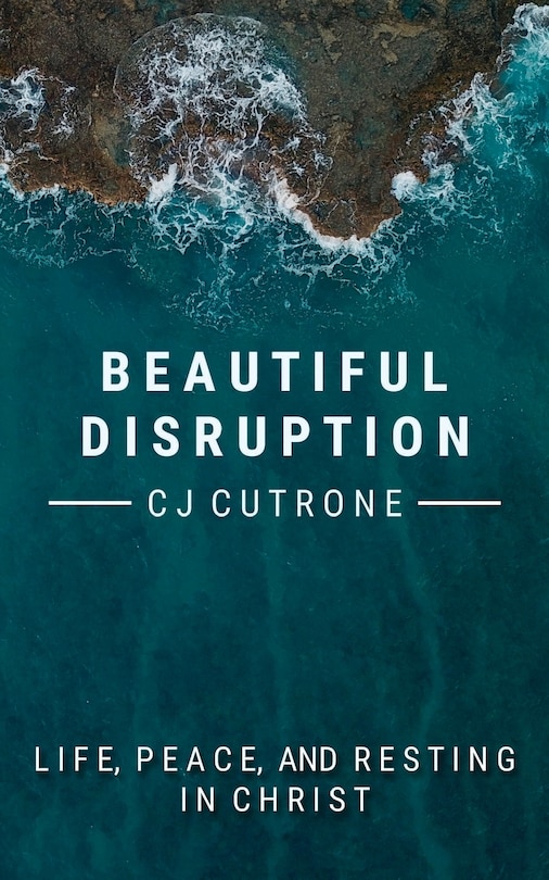 Front cover_Beautiful Disruption