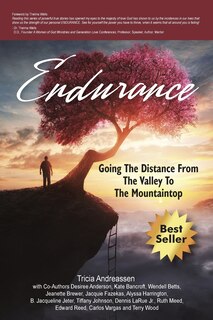 Endurance: Going The Distance From The Valley To The Mountaintop