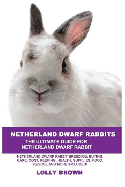 Rabbit breeding supplies outlet