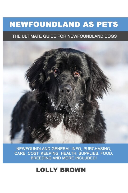 Front cover_Newfoundland as Pets