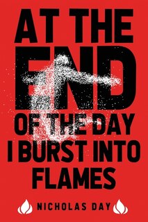 Couverture_At The End Of The Day I Burst Into Flames