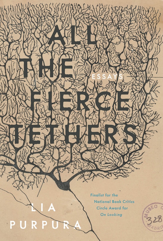 Front cover_All The Fierce Tethers