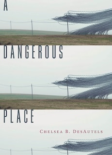Front cover_A Dangerous Place