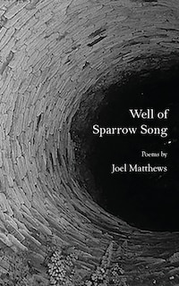 Couverture_Well of Sparrow Song