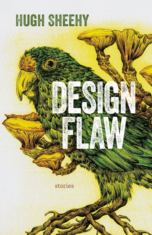 Couverture_Design Flaw