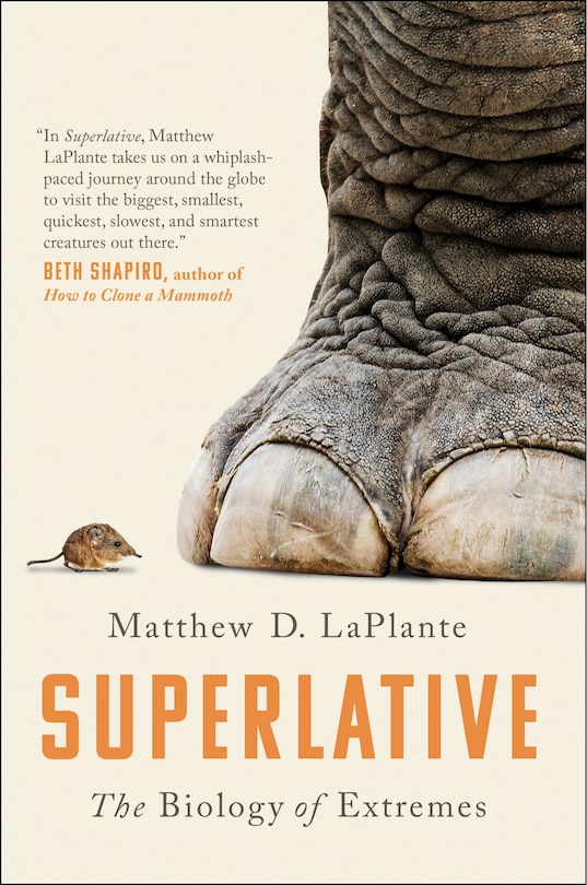 Front cover_Superlative