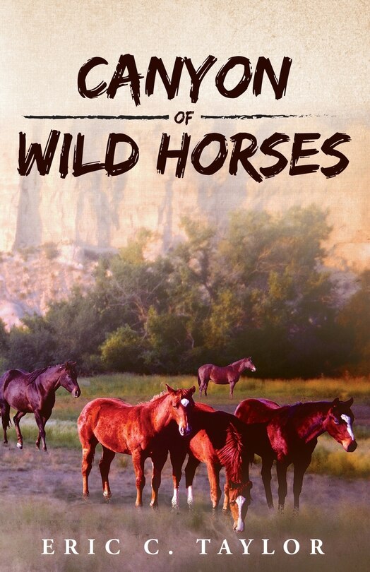 Front cover_Canyon of Wild Horses