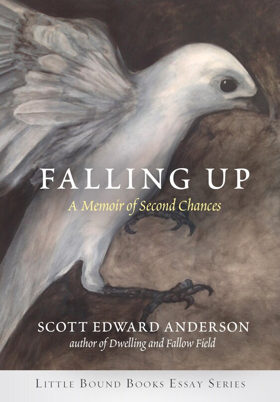 Front cover_Falling Up