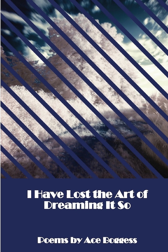 Couverture_I Have Lost the Art of Dreaming It So