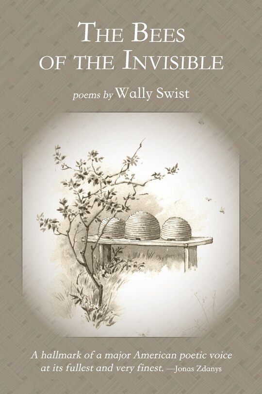 Front cover_The Bees of the Invisible