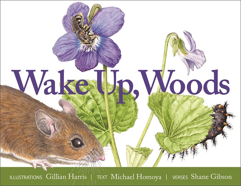 Couverture_Wake Up, Woods