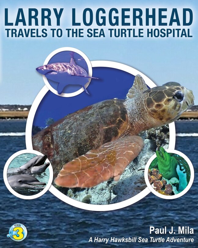 Front cover_Larry Loggerhead Travels to the Sea Turtle Hospital