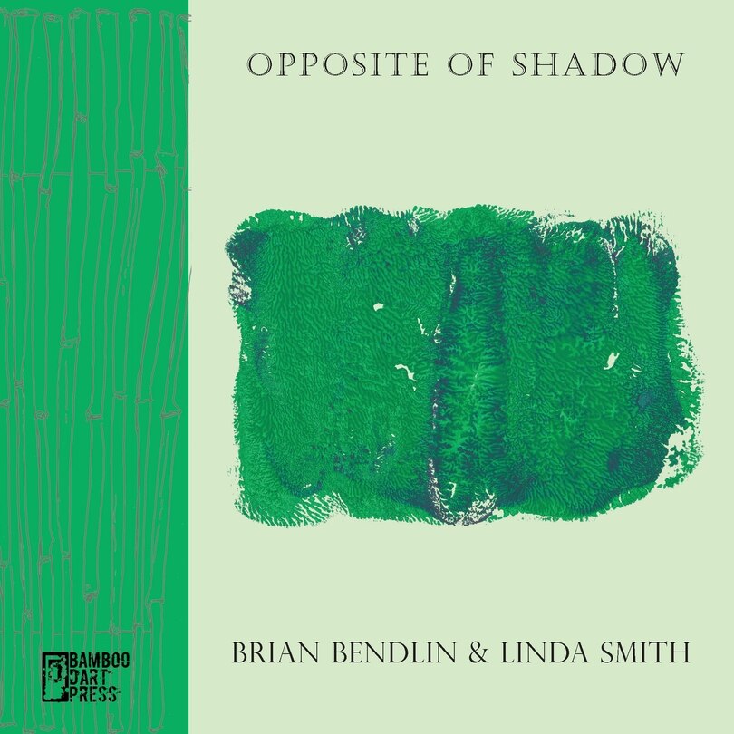 Front cover_Opposite of Shadow