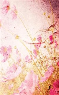 Front cover_A Line a Day Journal