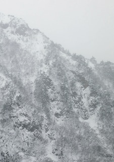 Front cover_Keiko Sasaoka: Presence